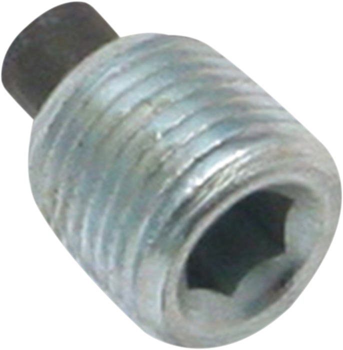 S&S CYCLE Magnetic Plug - 1/8" NPT 50-8334