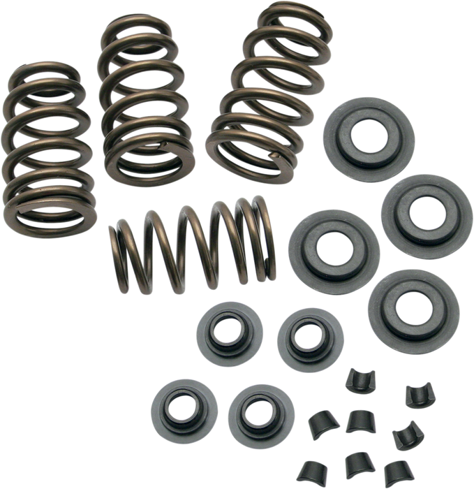 S&S CYCLE Spring Kit - .650" .650" KIT 900-0050