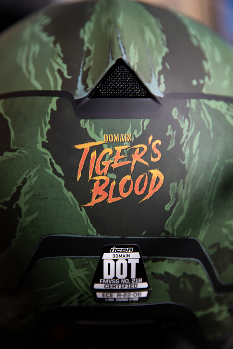 ICON Domain™ Motorcycle Helmet - Tiger's Blood - Green - Small 0101-14924