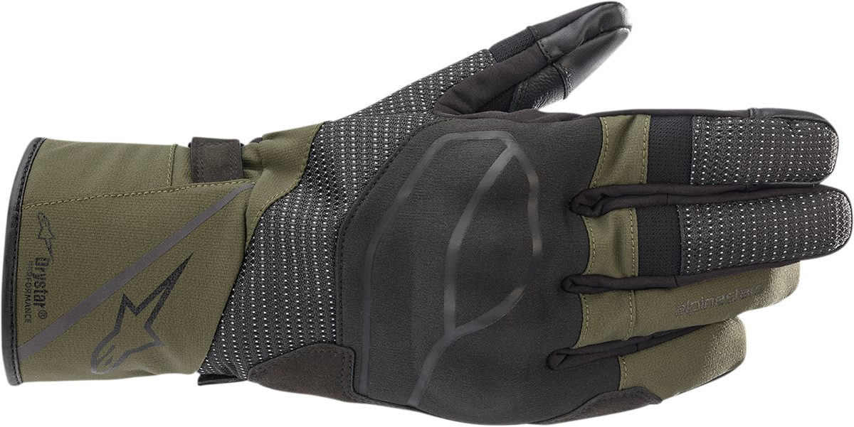 ALPINESTARS Andes V3 Drystar® Gloves - Black Forest - Medium 3527521-1681-M